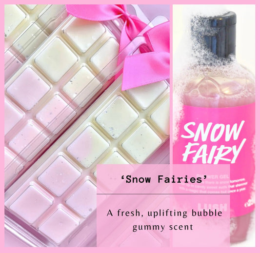Ice Fairy