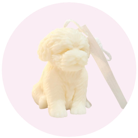 Small puppy dog