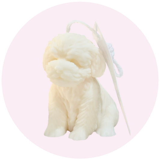 Small puppy dog