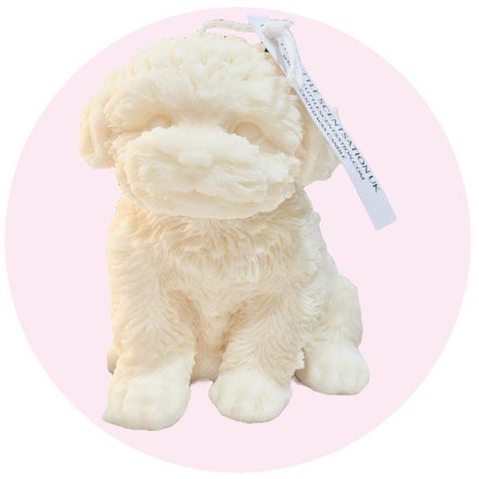Large puppy dog